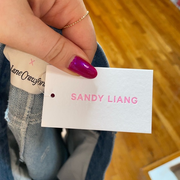 💎NWT Sandy Liang x Lane Crawford denim mini skirt broken heart - Picture 4 of 8